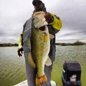 Meet your Posher, Edward